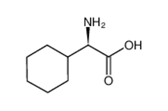 Picture of D-α-Cyclohexylglycine