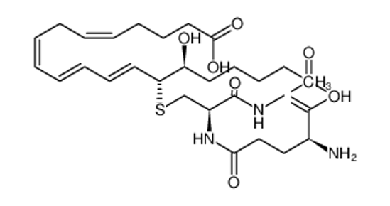 Imagem de 14,15-Leukotriene C4