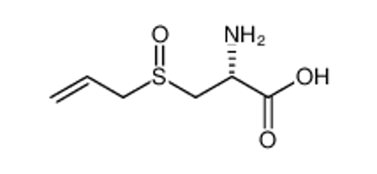 Picture of (±)-L-Alliin