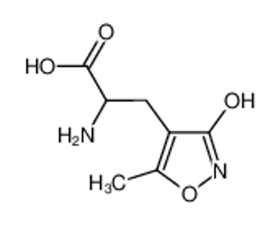 Picture of (R,S)-AMPA