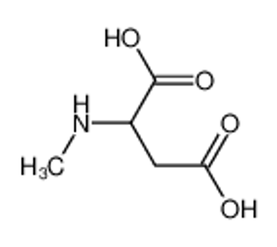 Picture of 2-(methylamino)butanedioic acid