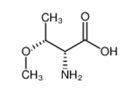 Picture of (2R,3R)-2-amino-3-methoxybutanoic acid