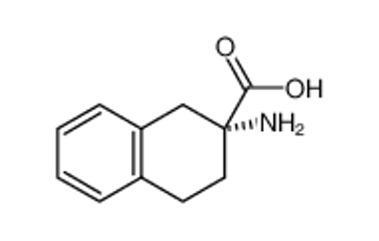 Picture of (R)-2-AMINO-1,2,3,4-TETRAHYDRONAPHTHALENE-2-CARBOXYLIC ACID