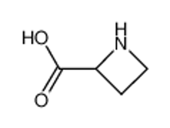 Imagem de 1-AZETIDINECARBOXYLIC ACID