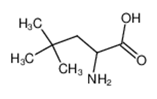 Picture of 2-Amino-4,4-dimethylpentanoic acid