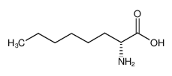 Imagem de (2R)-2-aminooctanoic acid