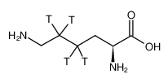 Picture of L-LYSINE, [4,5-3H(N)]-