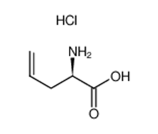 Picture of D-Allylglycine hydrochloride
