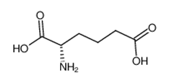 Picture of L-2-aminoadipic acid