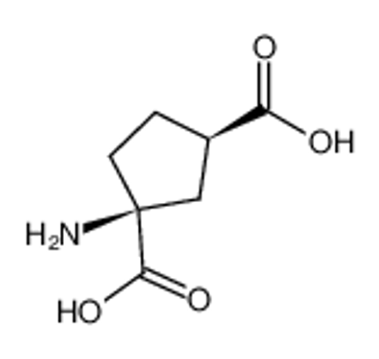 Imagem de (1S,3R)-ACPD