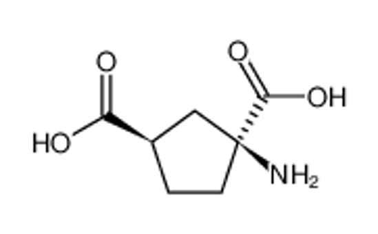 Picture of (1S,3R)-1-aminocyclopentane-1,3-dicarboxylic acid