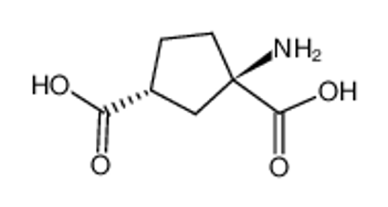 Picture of (1R,3R)-1-AMINOCYCLOPENTANE-1,3-DICARBOXYLIC ACID