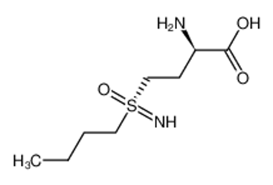 Picture of (2R)-2-amino-4-(butylsulfonimidoyl)butanoic acid