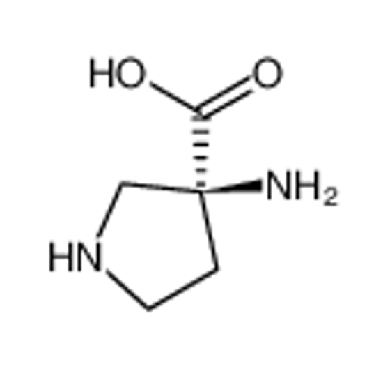 Изображение 3-Pyrrolidinecarboxylicacid,3-amino-,(3S)-(9CI)