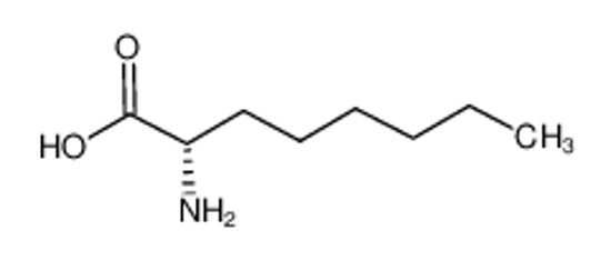 Picture of (S)-2-Aminooctanoic acid