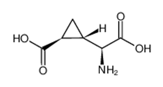 Picture of (2S,1′S,2′S)-2-(Carboxycyclopropyl)glycine
