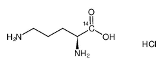 Picture of L-ORNITHINE-CARBOXY-14C HYDROCHLORIDE