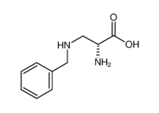 Picture of (2R)-2-amino-3-(benzylamino)propanoic acid