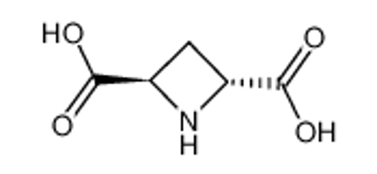 Picture of (±)-TRANS-AZETIDINE-2,4-DICARBOXYLIC ACID