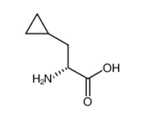Picture of (R)-2-Amino-3-cyclopropylpropanoic acid