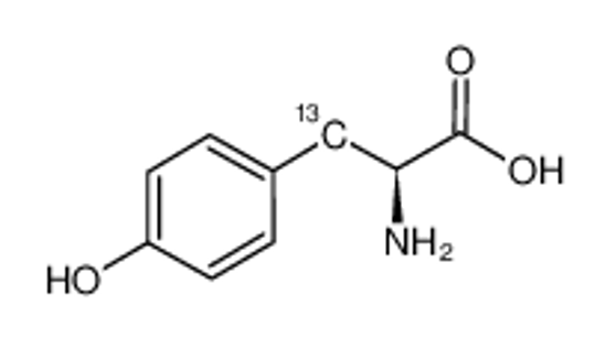 Picture of L-4-Hydroxyphenylalanine-3-13C
