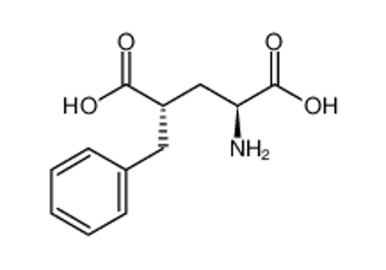 Изображение (2S,4S)-2-amino-4-benzylpentanedioic acid