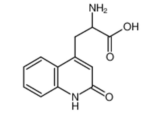 Picture of 2-AMINO-3-(1,2-DIHYDRO-2-OXOQUINOLINE-4-YL)PROPANOIC ACID HYDROCHLORIDE