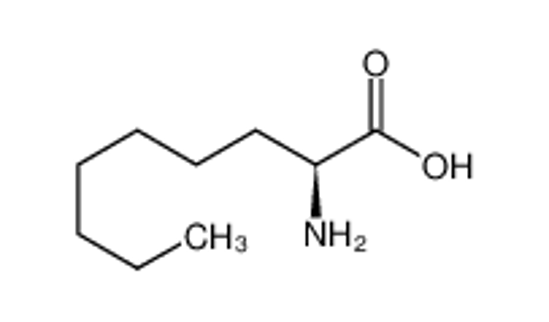 Picture of (2S)-2-aminononanoic acid