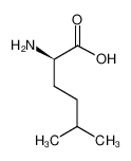Picture of (2R)-2-amino-5-methylhexanoic acid
