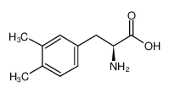 Picture of (2S)-2-amino-3-(3,4-dimethylphenyl)propanoic acid