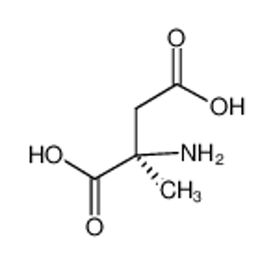 Picture of (R)-alpha-Methylaspartic acid