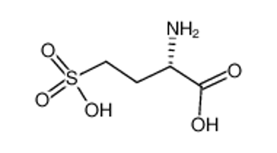 Picture of L-Homocysteic acid