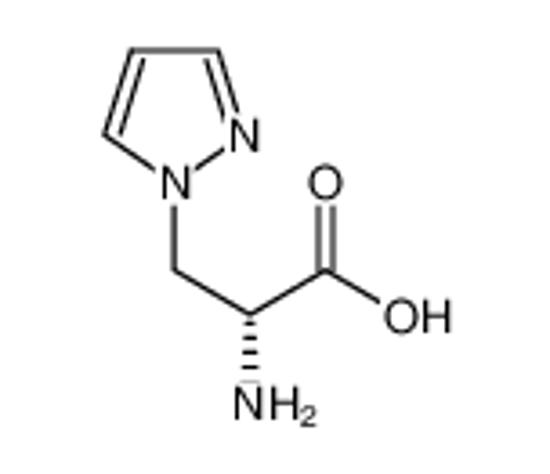 Изображение (R)-2-amino-3-(1H-pyrazol-1-yl)propanoic acid