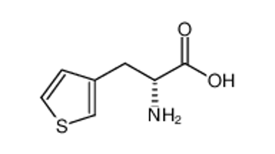 Imagem de D-3-THIENYLALANINE