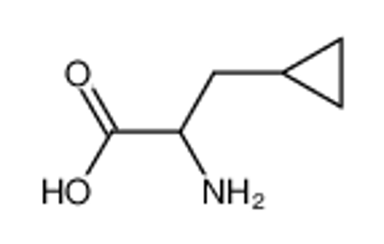 Picture of 2-Amino-3-cyclopropylpropanoic acid