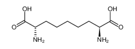 Picture of (2S,8S)-2,8-diaminononanedioic acid