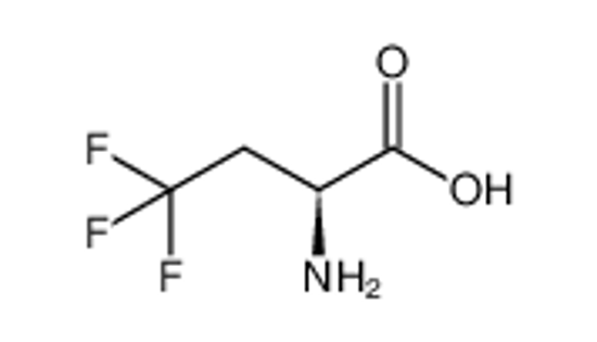 Picture of (S)-2-Amino-4,4,4-trifluorobutanoic acid