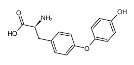 Picture of L-thyronine