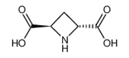 Picture of (2R,4R)-azetidine-2,4-dicarboxylic acid