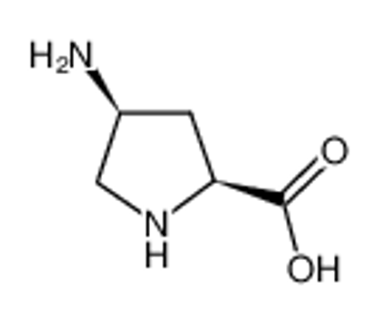 Picture of (2S,4S)-4-Aminopyrrolidine-2-Carboxylic Acid