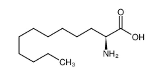 Picture of (2S)-2-aminododecanoic acid