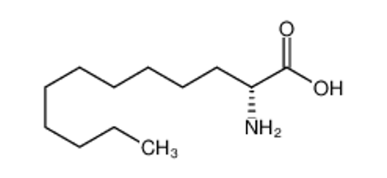 Picture of (2R)-2-aminododecanoic acid