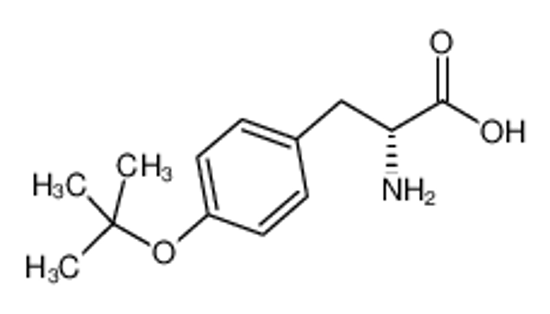 Picture of (2R)-2-amino-3-[4-[(2-methylpropan-2-yl)oxy]phenyl]propanoic acid