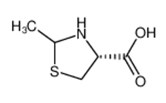 Изображение (4R)-2-methyl-1,3-thiazolidine-4-carboxylic acid