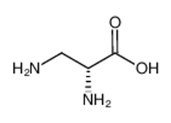 Picture of (2R)-2,3-diaminopropanoic acid
