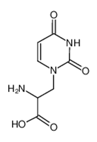 Picture of 2-AMINO-3-(2,4-DIOXO-3,4-DIHYDRO-2H-PYRIMIDIN-1-YL)-PROPIONIC ACID