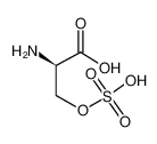 Imagem de (2R)-2-amino-3-deuterio-3-sulfooxypropanoic acid