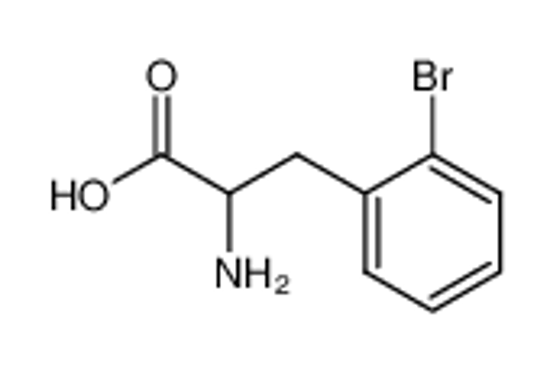 Picture of 2-AMINO-3-(2-BROMO-PHENYL)-PROPIONIC ACID