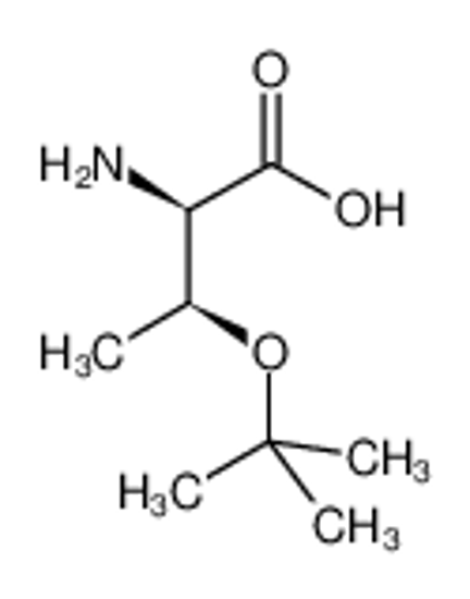 Picture of (2R,3S)-2-amino-3-[(2-methylpropan-2-yl)oxy]butanoic acid