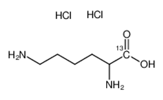 Imagem de DL-Lysine-6-13C dihydrochloride